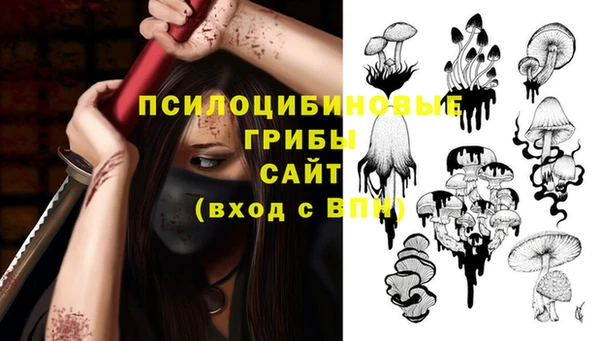 MDMA Аркадак